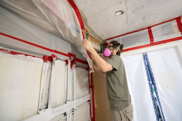 Mold Remediation for Rental Properties in Cedar Glen West, NJ